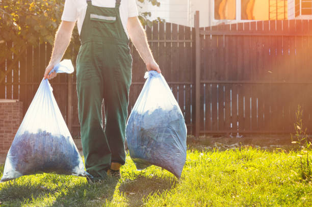 Best Commercial Junk Removal  in Lapeer, MI