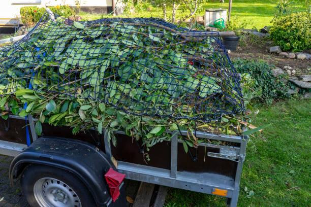 Best Retail Junk Removal  in Lapeer, MI